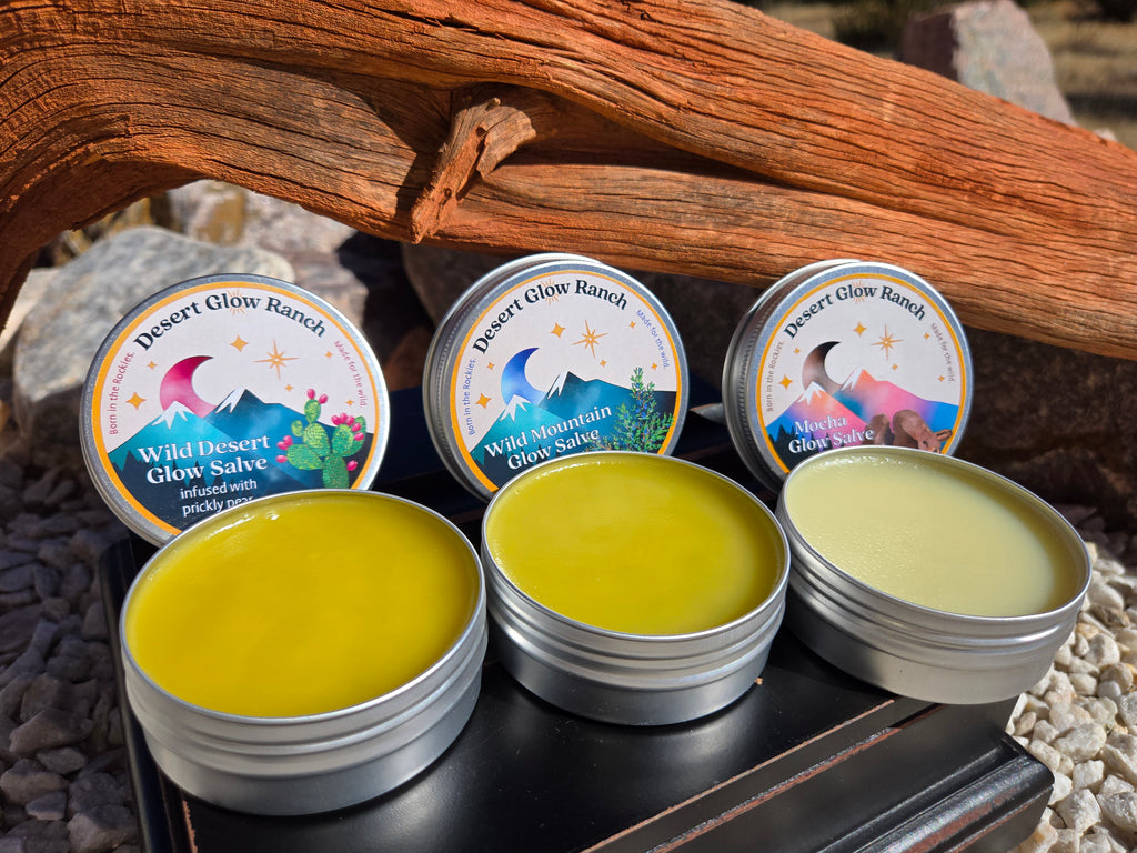 Three open tins of Wild Desert Glow, Wild Mountain Glow, and Mocha Glow Salve showing the balm texture on a wood surface