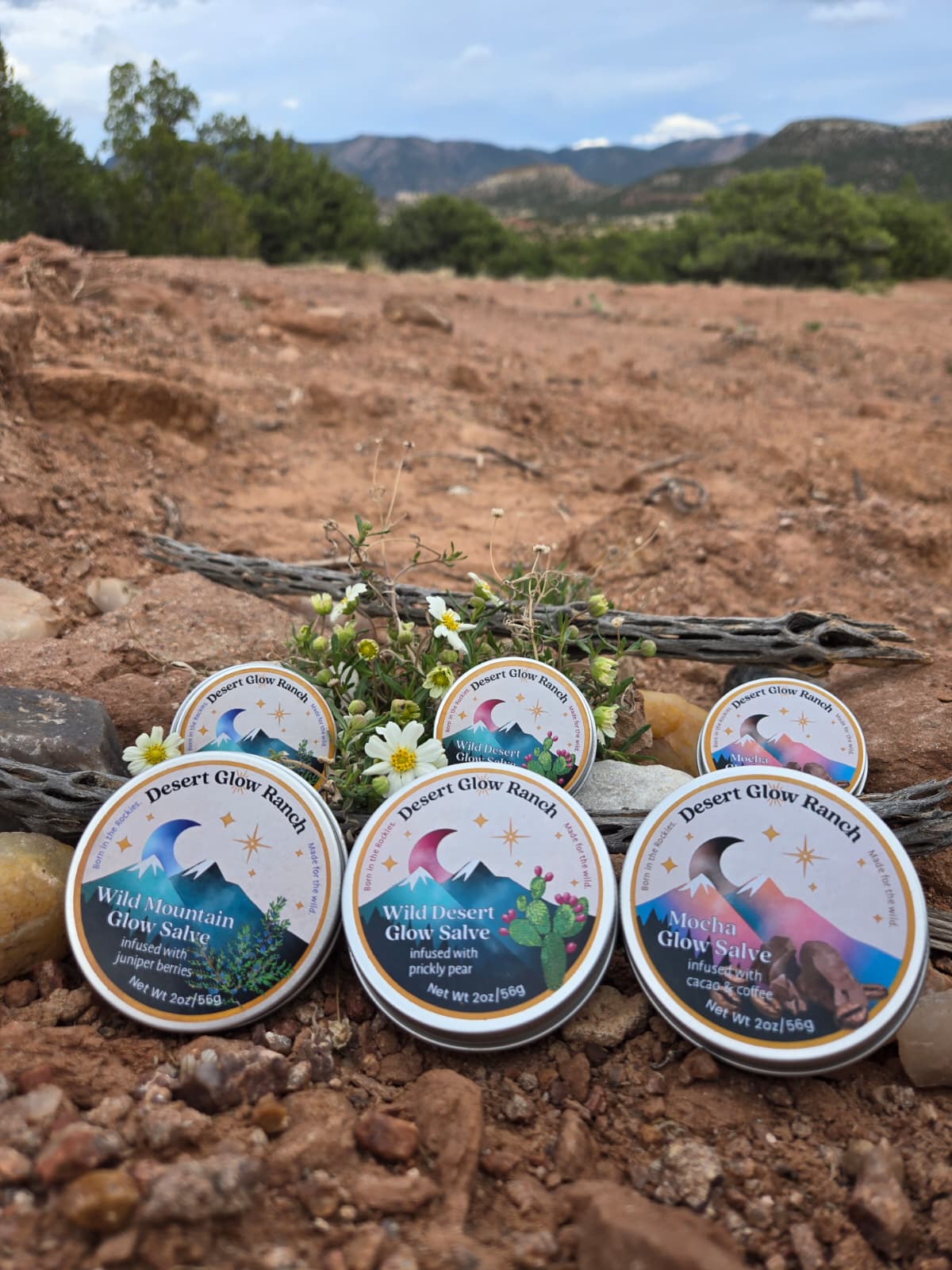 Wild Mountain Glow, Wild Desert Glow, and Mocha Glow Salve tins on red desert soil with Rocky Mountains in the background