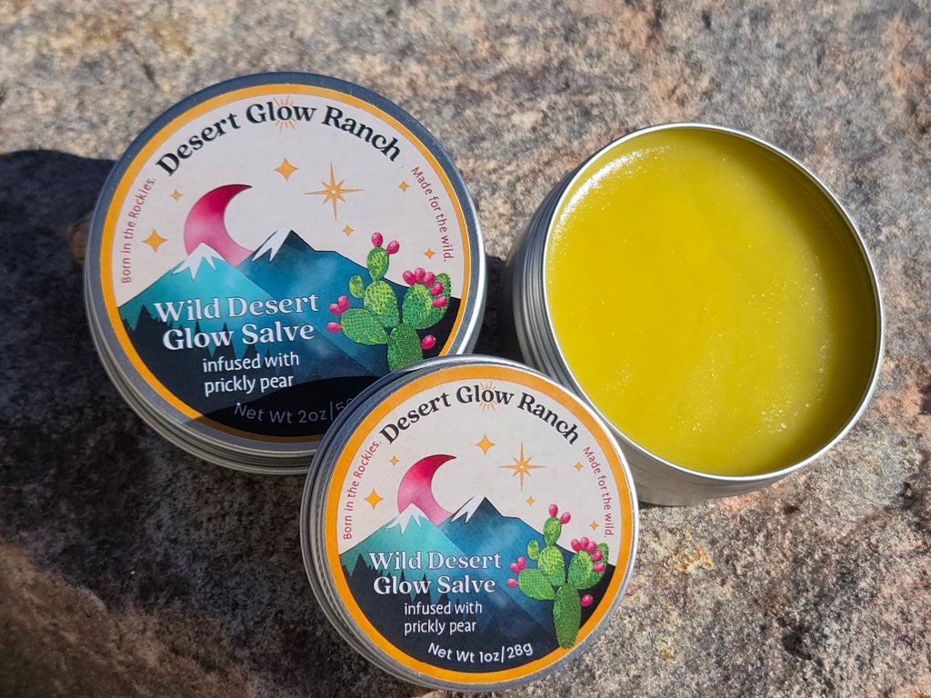 Wild Desert Glow Salve prickly pear moisturizer 1 oz and 2 oz tins size comparison on stone background