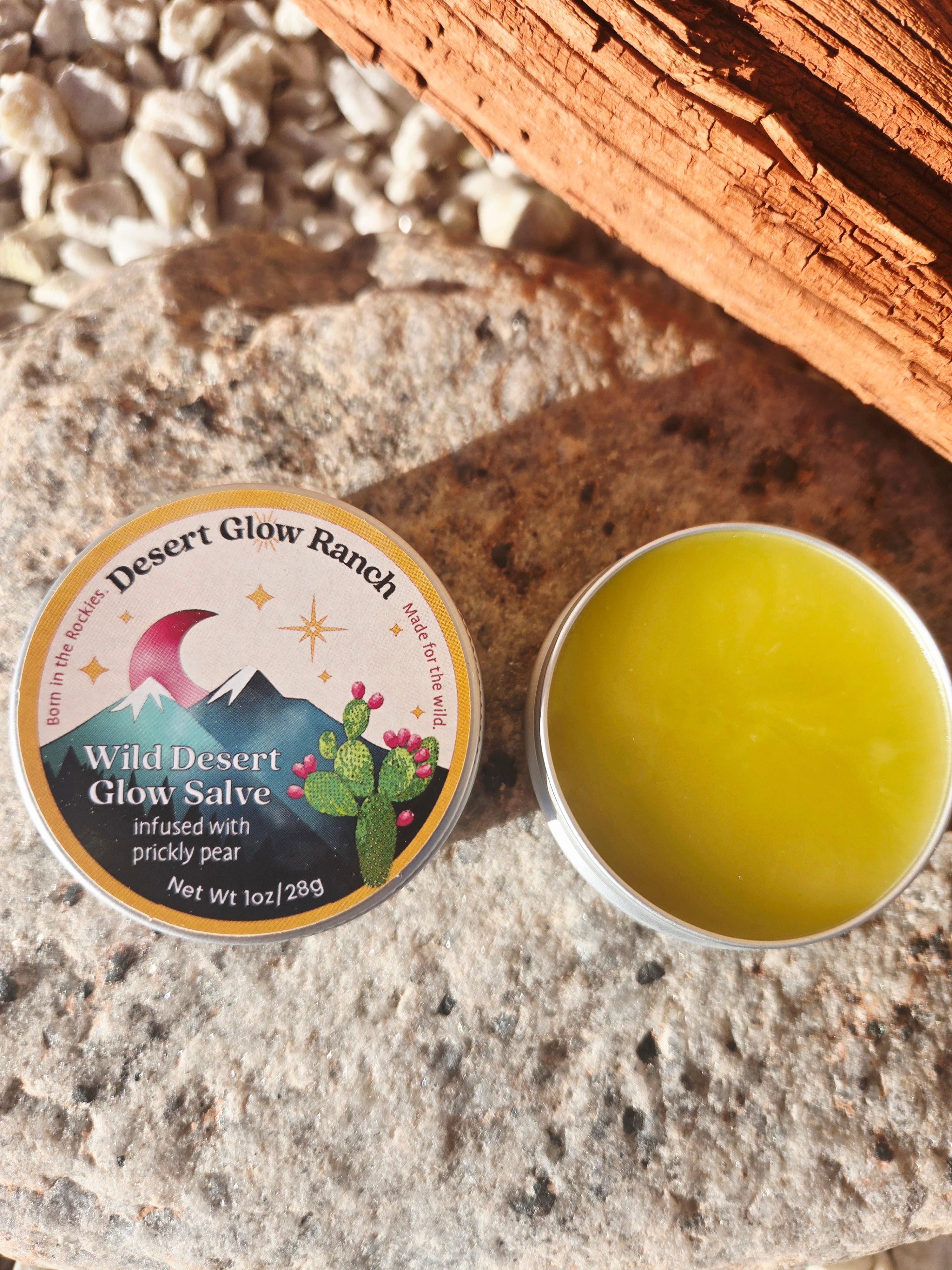 Wild Desert Glow Salve 1 oz open tin showing prickly pear moisturizer texture on stone background