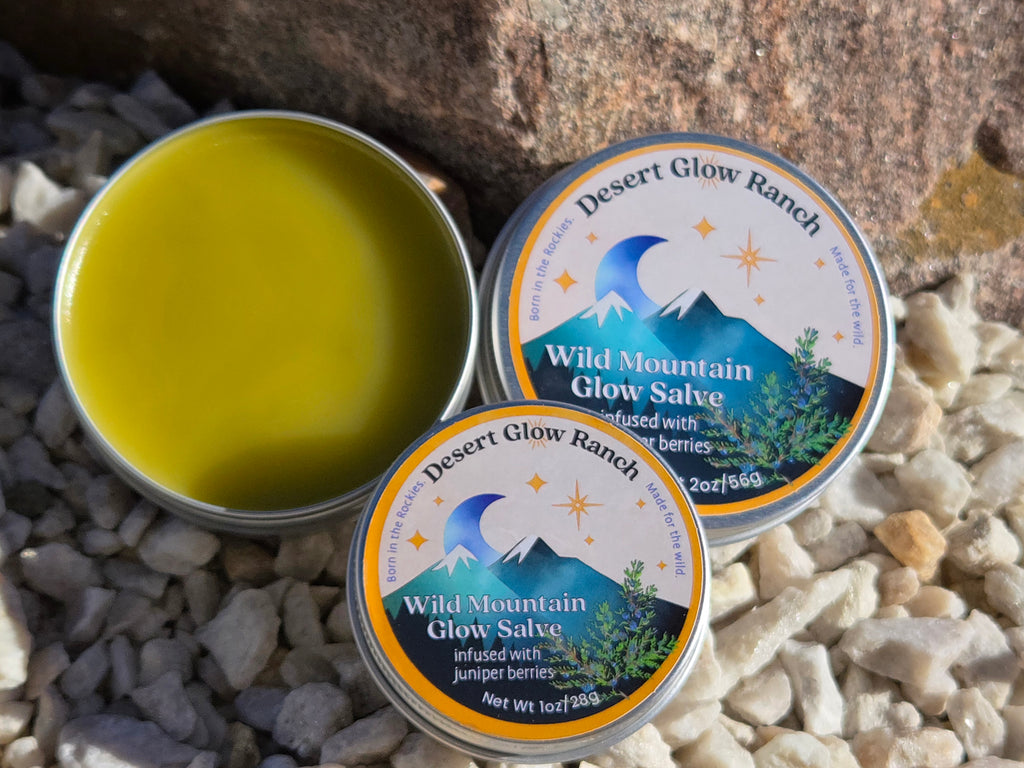 Wild Mountain Glow Salve 1 oz and 2 oz tins with open balm texture on natural rock surface
