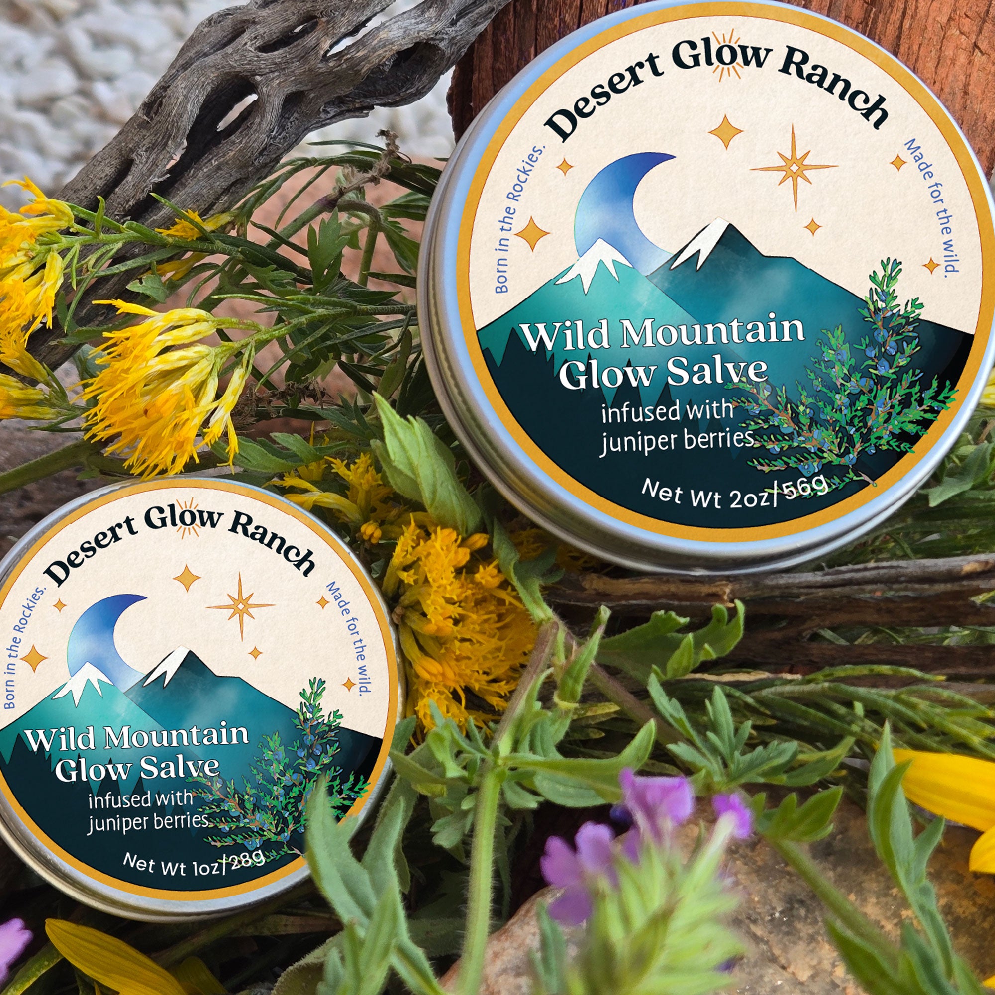 Wild Mountain Glow Salve juniper berry moisturizer tins on natural botanical background
