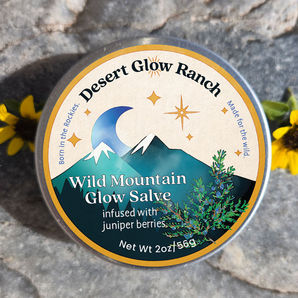 Wild Mountain Glow Salve juniper berry moisturizer tin close-up on stone with wildflowers